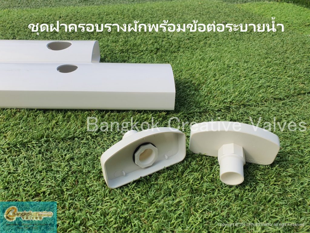 ชุดปลูกผักไฮโดรโปนิกส์